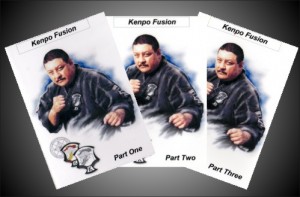 Kenpo Fusion DVD Set